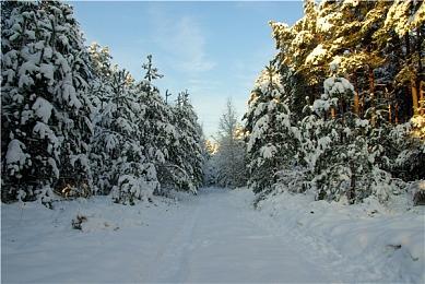 《迷失》宣布11月19日登陆Switch 实体豪华版内容公开